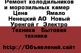 Ремонт холодильников и морозильных камер › Цена ­ 500 - Ямало-Ненецкий АО, Новый Уренгой г. Электро-Техника » Бытовая техника   